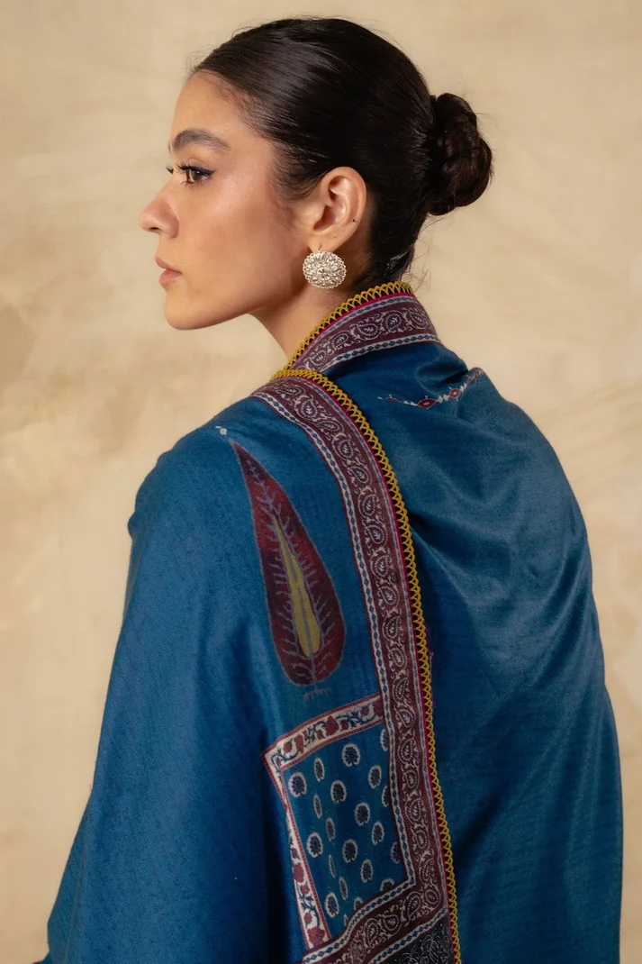 3 Piece Unstitched Fully Embroidered Dhanak Dress With Printed Blended Shawl - Image 6